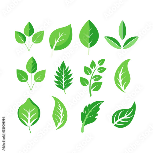 Set Of Green Leaf Icons

