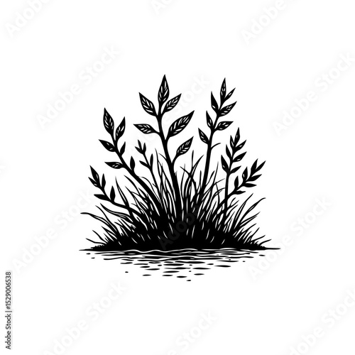 Elegant minimalist plant illustration with leaves and grass on a white background