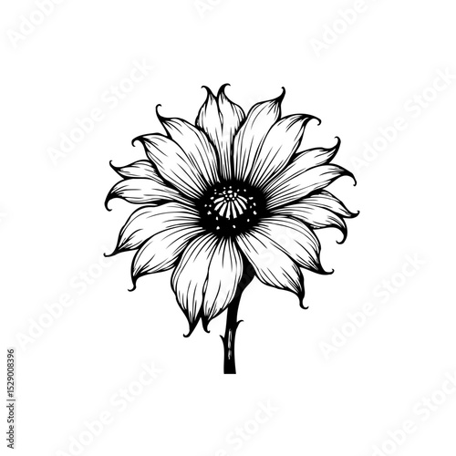 Monochrome floral illustration: A detailed depiction of a flower against white backdrop