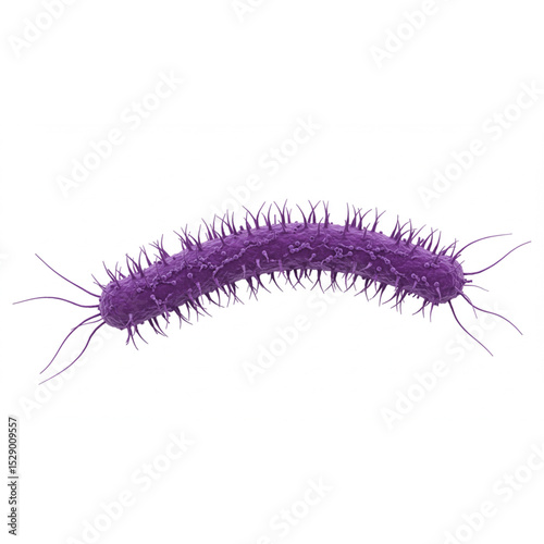 High-quality purple bacterium design perfect for scientific illustrations, medical publications, or microbiology logos and branding projects.
