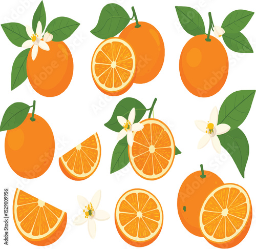 A delightful arrangement of oranges with flowers and leaves on transparent background
