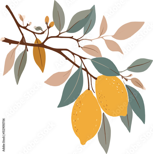 Two lemons hanging from a branch with leaves in a minimalist style illustration on transparent background