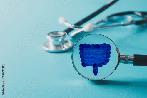 Idea for Healthcare and Medical,Wellness.,Magnifying glass focusing on a large intestine with a stethoscope in the background.Concept for gastroenterology, digestive system health,digestive wellness.