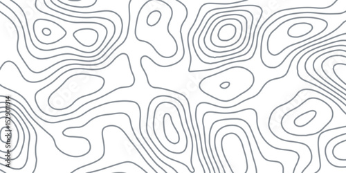 White wave paper curved reliefs abstract background, Abstract topographic contours map background, Topography map background. Vector geographic contour map.