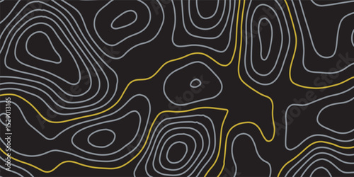 Luxury gold and grey abstract line art background vector. Mountain topographic terrain map background with gold lines texture. Design illustration for wall art, fabric, packaging, banner, wallpaper.