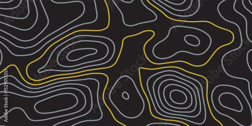 Luxury gold and grey abstract line art background vector. Mountain topographic terrain map background with gold lines texture. Design illustration for wall art, fabric, packaging, banner, wallpaper.