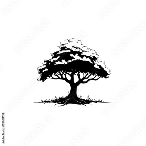 A solitary tree silhouette stands starkly against a white background creating a strong visual impact