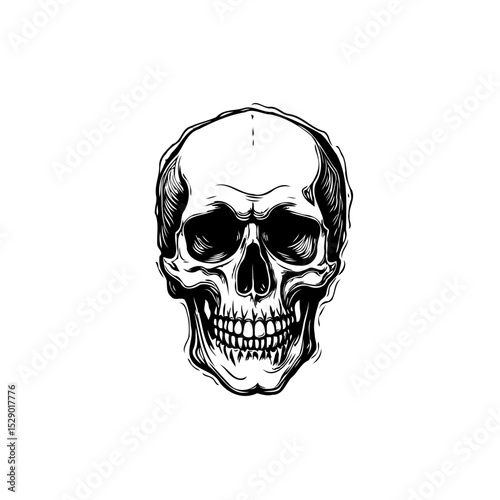 Detailed Black and White Skull Illustration with Intricate Line Work and Shading