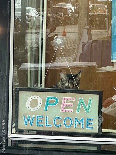 Editorial: Krabi, Thailand. June 2025. A curious tabby cat peeks from behind an 