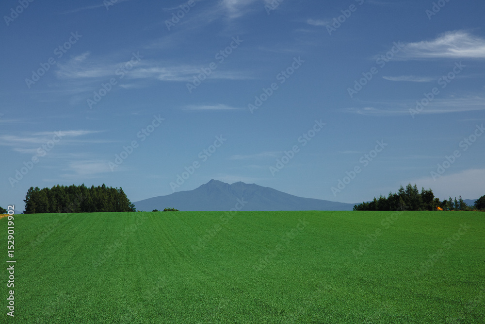 Fototapeta premium Green fields and Mount Shari