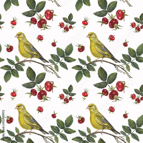 Seamless pattern of watercolor illustrations greenfinch bird and rosehip leaves, berries dog rose on white background hand drawn. Seamless pattern for fabric, textile, prints, design