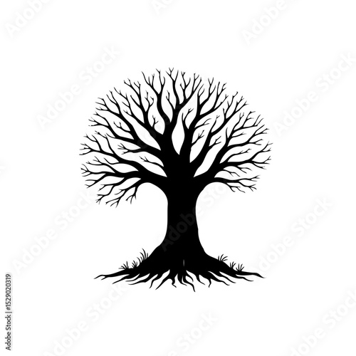 Elegant silhouette of a tree with intricate branches, evoking nature's essence