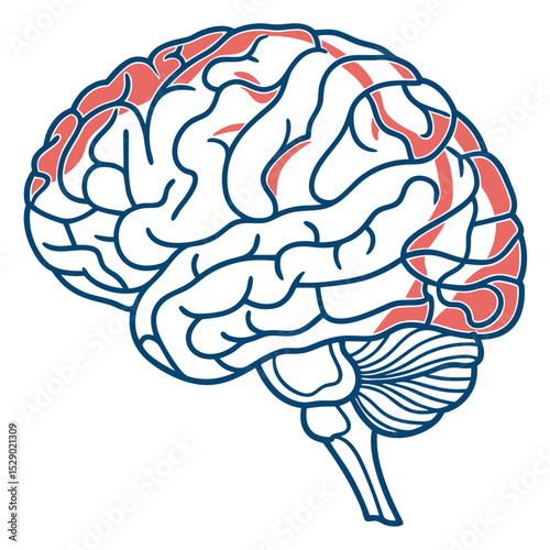 Transparent Vector Art of Minimalist Brain Pathway Icon  