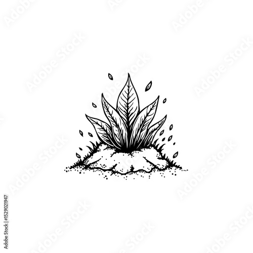 Hand-drawn stylized illustration of a plant growing from the earth showing growth