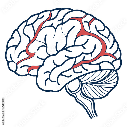 Transparent Background Vector Icon of Brain Connectivity  