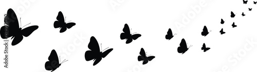 Graceful Swarm of Flying Butterfly Silhouettes: Elegant and Diverse Winged Insects in Motion, Ideal Vector Illustrations for Nature, Beauty, Freedom, and Spring Themes