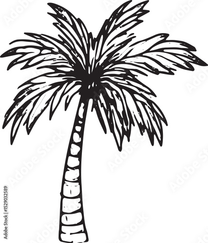 A hand-drawn sketch of a tropical palm tree with detailed fronds and textured trunk, ideal for botanical art, nature-inspired designs, tropical decor, greeting cards, wallpapers, and patterns in texti