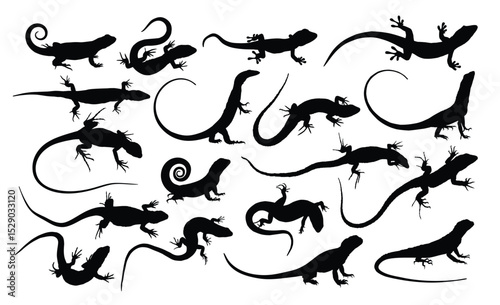 The set of silhouettes of big lizards.
