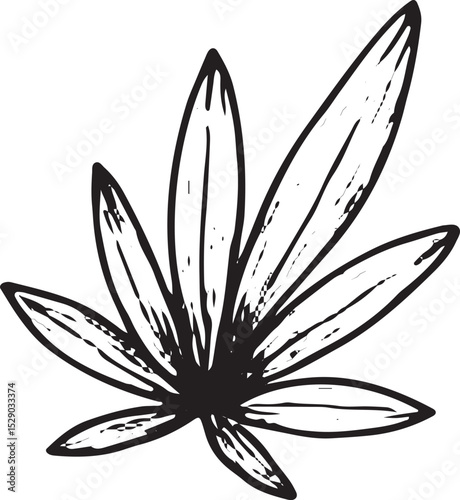 A hand-drawn sketch of a tropical leaf with detailed, elongated petals radiating from a central point. Ideal for botanical art, tropical designs, nature-inspired decor, greeting cards, wallpapers,