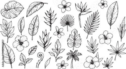 A collection of hand-drawn tropical leaves and flowers, featuring detailed sketches of palm fronds, exotic blooms, and lush foliage. Perfect for nature-inspired designs, botanical art,