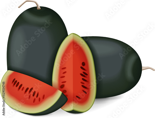 Whole and half of Kiran Watermelons. Ice-box Watermelon. Citrullus lanatus. Fruits and vegetables. Isolated vector illustration.