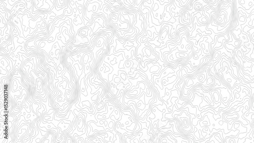 topography white background and black line wireframe isoline location diagram world map texture design.	
