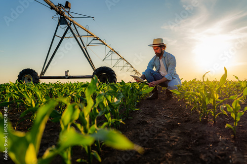 Farmer crouching in a field of young corn plants at sunset, using a digital tablet to monitor crop growth and health, with an irrigation system in the background