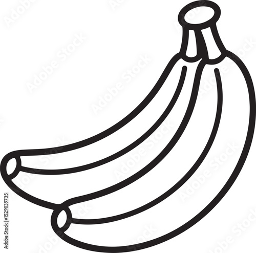 Fresh Banana Illustration Two Ripe Bananas Line Art Drawing