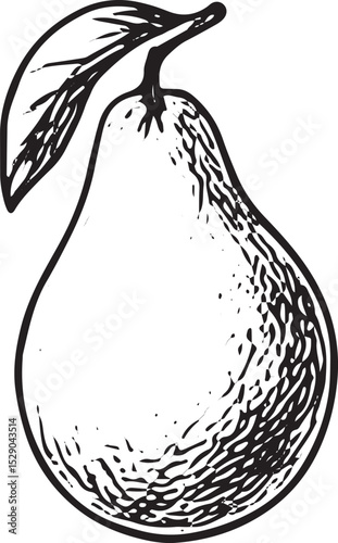A detailed hand-drawn sketch of a ripe pear with a leaf, rendered in black-and-white. This elegant tropical fruit illustration is ideal for food packaging, culinary designs, or nature-themed decor, sh