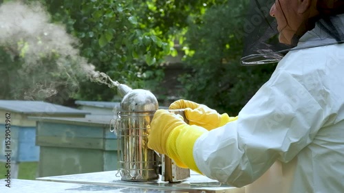 A beekeeper works with the bees and the hives in the apiary. a man in a protective suit at the apiary.