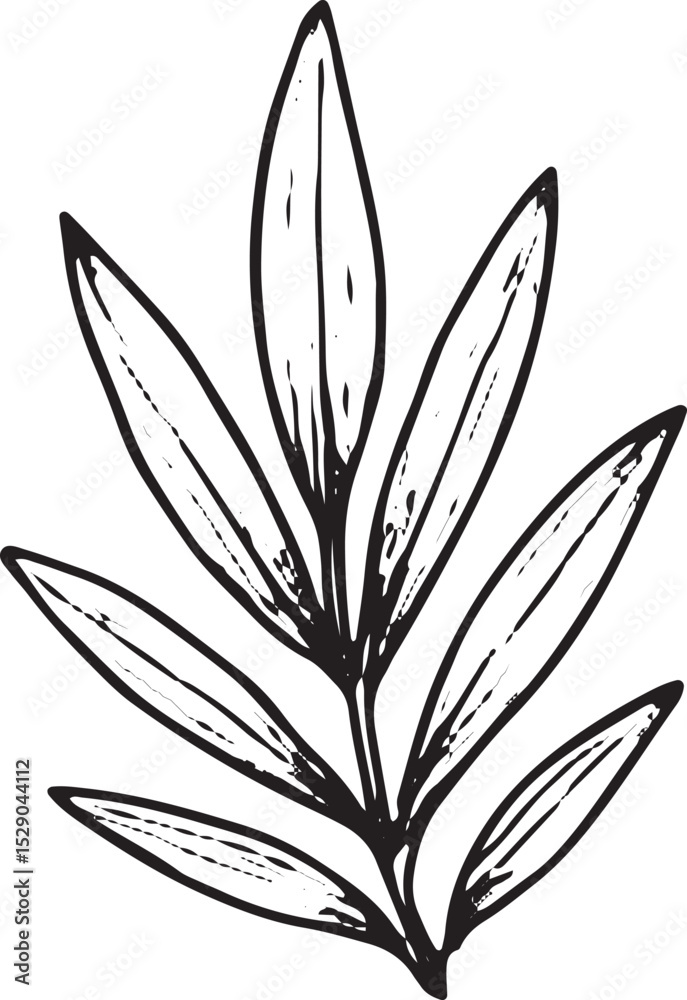 Obraz premium A hand-drawn sketch of a tropical palm frond with detailed, elongated leaflets, ideal for botanical art, nature-inspired designs, tropical decor, greeting cards, wallpapers, and patterns in textiles o