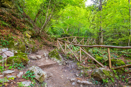 Hiking trail in forest. Prionia, Greece