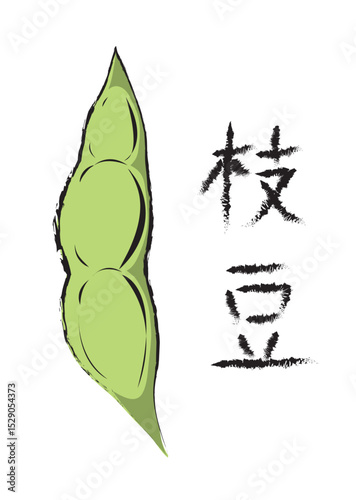 Edamame, green soybeans in the pod in cartoon style with traditional brush line and Hand written Edamame word in Japanese as Kanji characters, Cartoon vector isolated on white background 