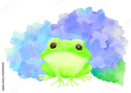 梅雨のカエルと紫陽花のイラスト（水彩風・初夏の季節素材）