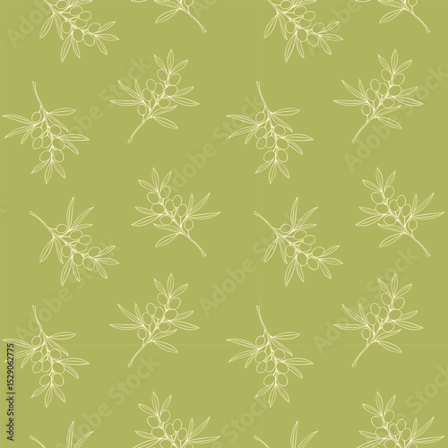 Olives branches light outline drawing. Pattern on pistachio background. Vector illustration
