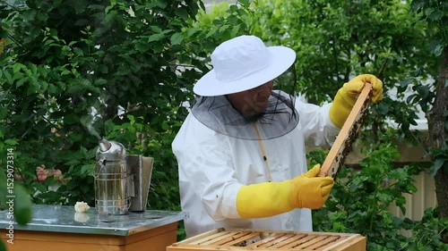 A beekeeper works with the bees and the hives in the apiary. a man in a protective suit at the apiary. Employee pulls the frame from the hive. a man pulls out the honeycomb with honey. Summer harvest