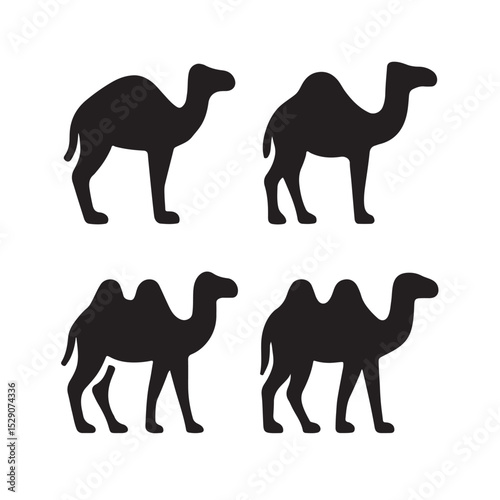 Camel vector icon flat type