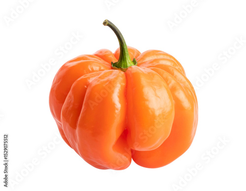 Scotch Bonnet Chili Pepper with Vibrant Color isolated on transparent background