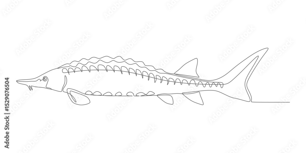 Fototapeta premium Minimalist Sturgeon – Continuous Line Fish Vector Illustration