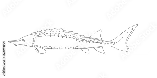 Minimalist Sturgeon – Continuous Line Fish Vector Illustration