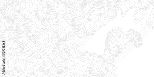 Abstract pattern lines seamless topography map and counter map. abstract sea map area space geometric line technology topo landscape grid texture design.	
