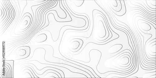 Generate a grayscale abstract vector illustration featuring flowing contour lines. The background should be a light gray or off-white. Thin, slightly darker gray or white lines should weave across.