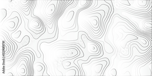 Generate a grayscale abstract vector illustration featuring flowing contour lines. The background should be a light gray or off-white. Thin, slightly darker gray or white lines should weave across.