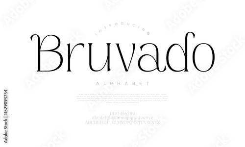 A stylish modern serif font with elegant curves and minimalist design, perfect for branding and editorial layouts