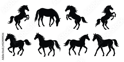 Set of vector horse silhouette on white background