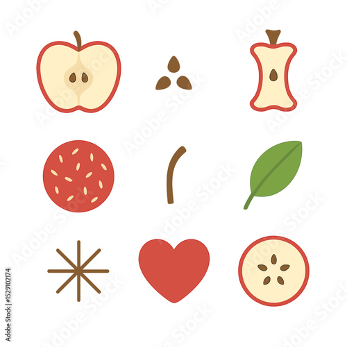 Apple Anatomy Icons. Flat icon set of apple cross-sections and anatomy: apple half, seed cluster, core, skin pattern, stem, leaf,