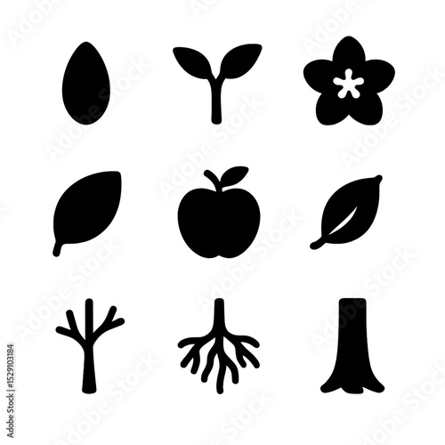 Apple Tree Cycle Icons. Solid, Filled icon set of apple tree life cycle: seed, sapling, blossom, green leaf, ripe apple, falling