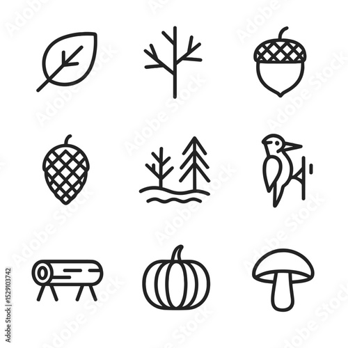 Autumn Forest Icons. Outline icon set of autumn forest hush: falling leaf, bare tree, acorn, pinecone, forest floor, woodpecker,