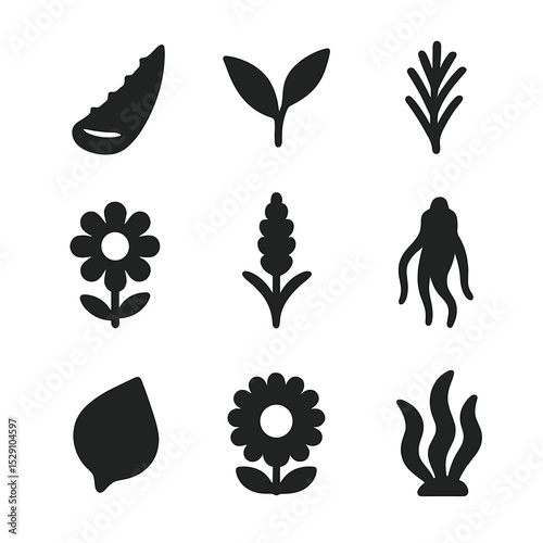 Botanical Extract Icons. Solid, Filled icon set of botanical extract rejuvenation: aloe vera leaf, green tea leaf, rosemary sprig,