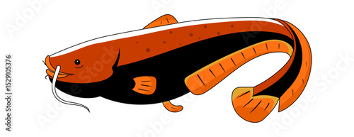 Fish Catfish vector. Clipart, colorful sea life illustration.